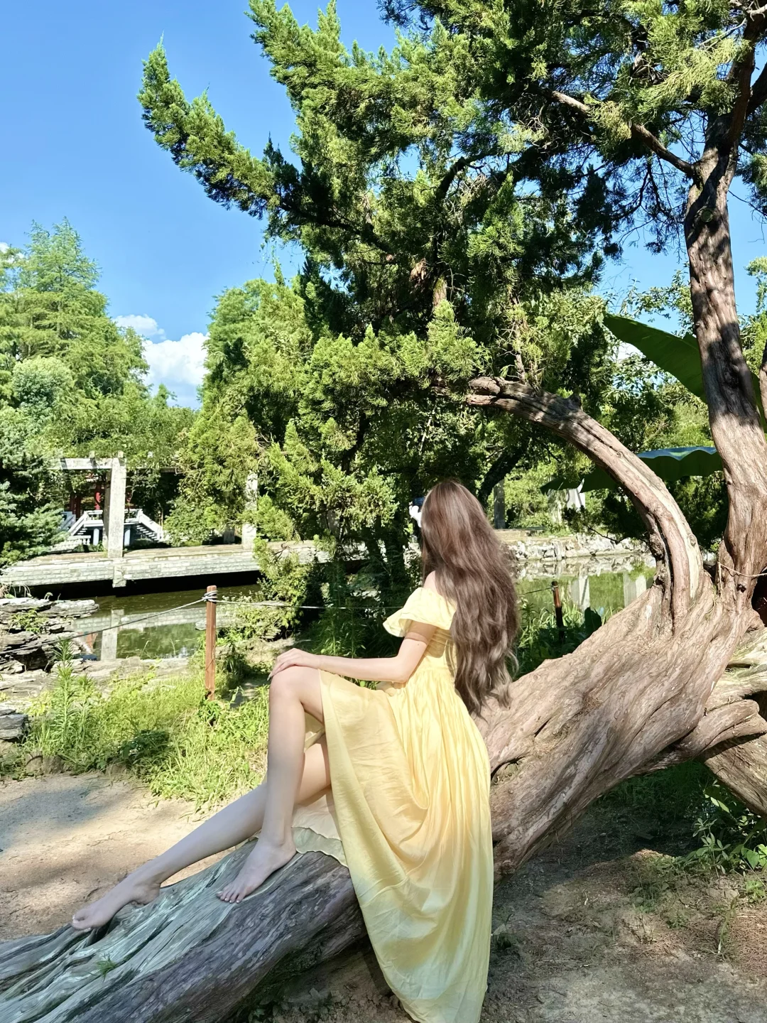 沉溺在这个夏季