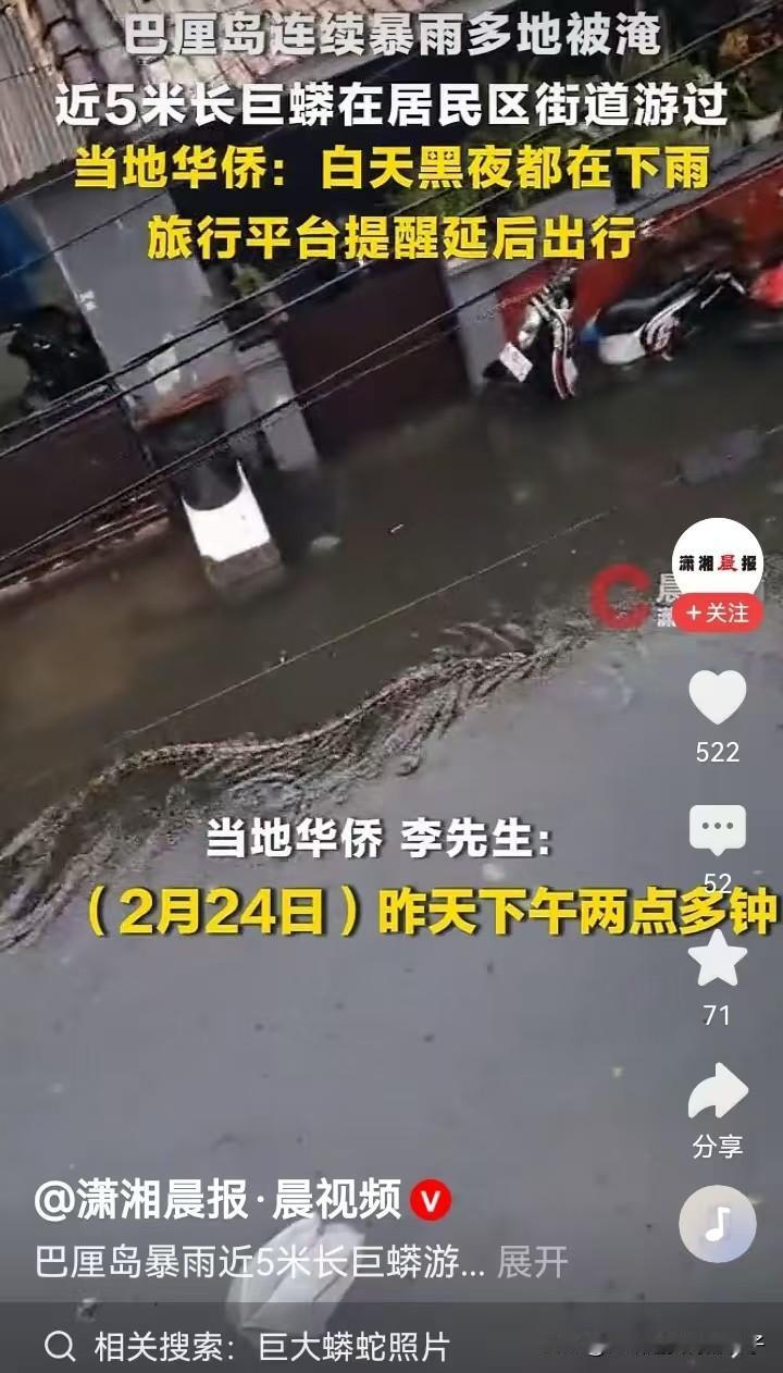 巴厘岛暴雨 近5米长巨蟒游过居民区 巴厘岛暴雨这事儿可太刺激了！居然有近5米长的