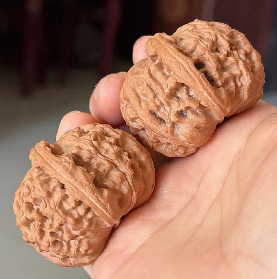 老树白狮子头！！！！