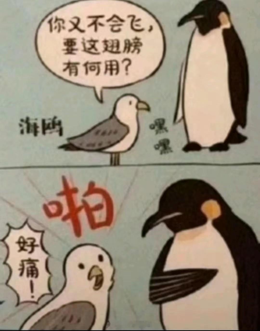 知道该怎么做了吗 ​​​