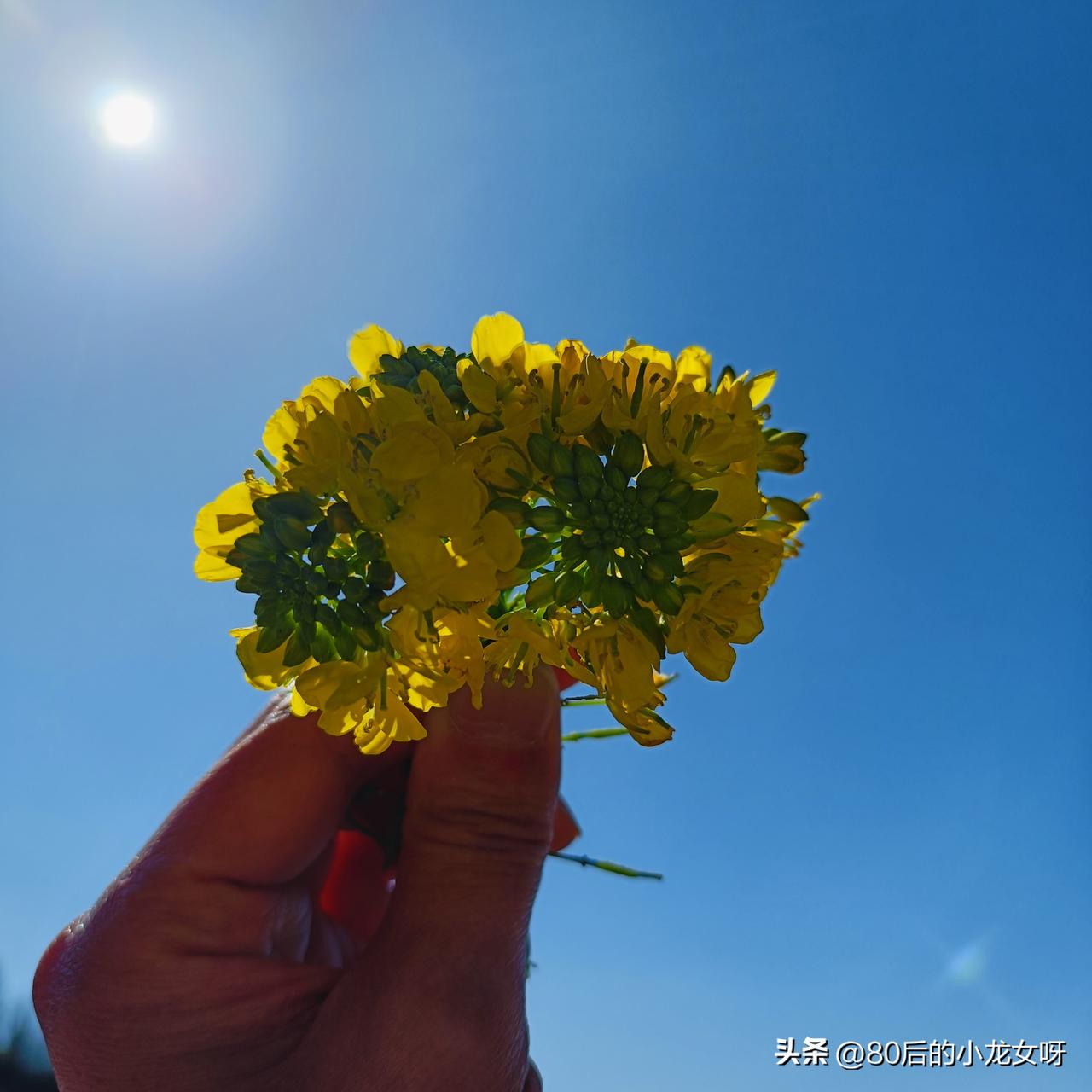 我们星期六星期天是没得休息的，不是公务员的工作，也不是单位编制，我们一个月下来才