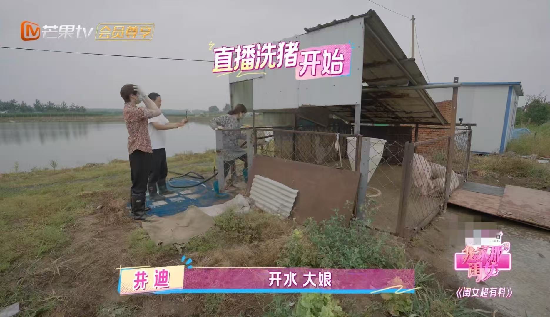 井迪洗猪别洗我我家那闺女 井迪整活天花板，让老爸直播猪洗澡也是没谁了。 ​​​