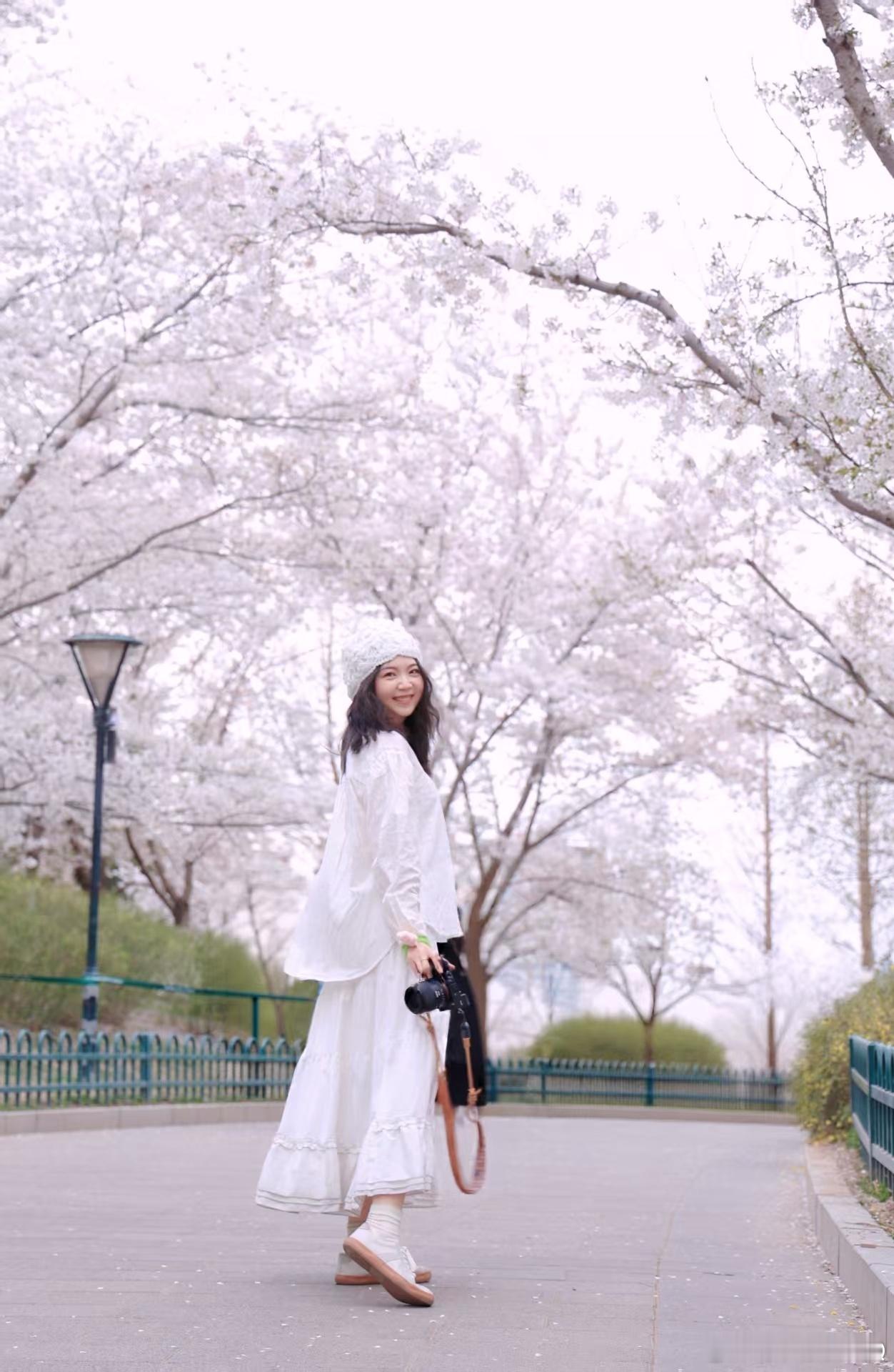 玉渊潭公园摄影