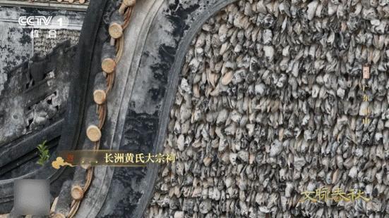 蚝壳砌的墙太震撼了广东人的生活智慧：吃蚝、存壳、盖房一条龙！古老蚝壳建筑守护宗族