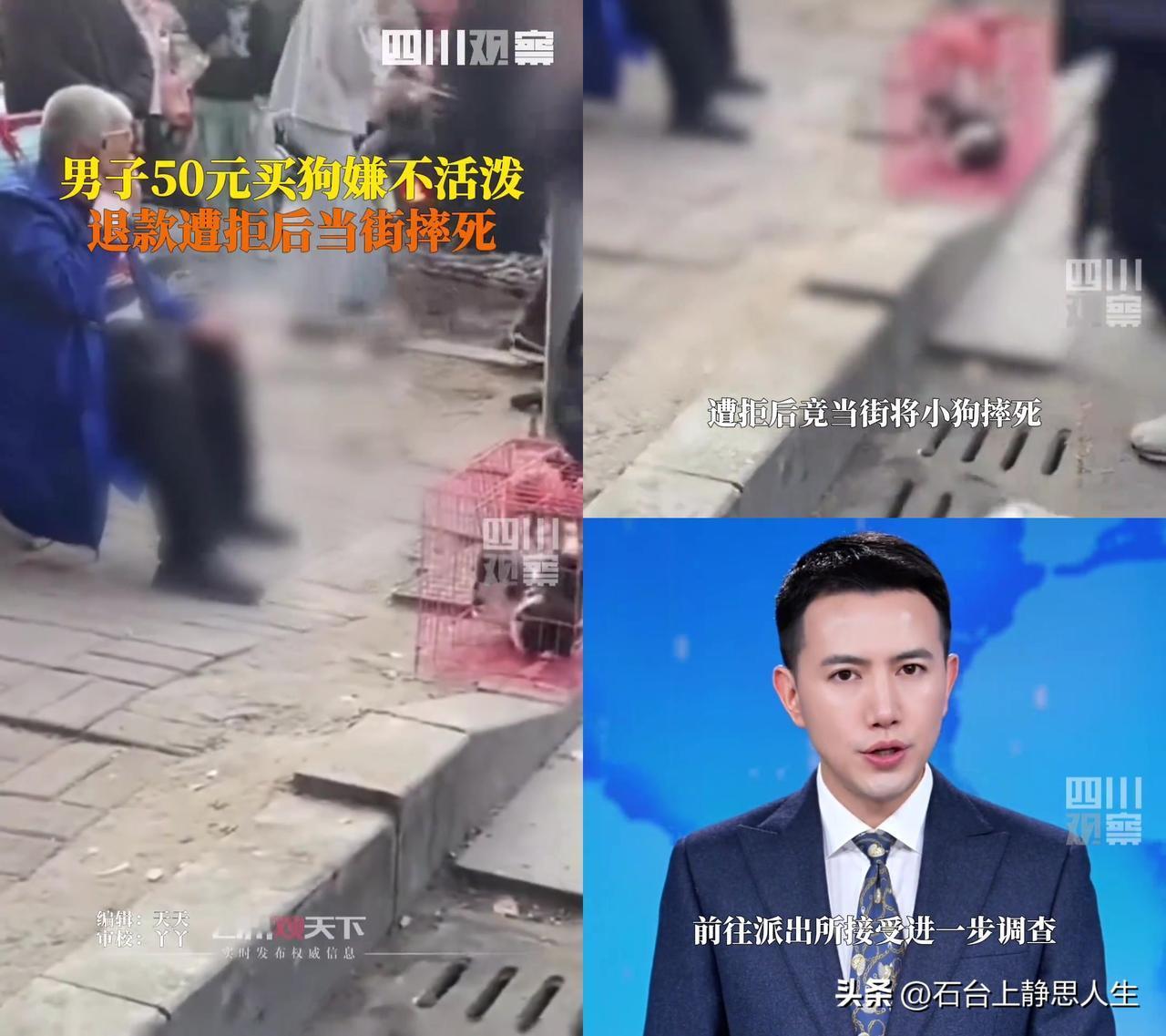 50块买的小狗，刚抱走10分钟就被摔死？就因为它不活泼？

河南周口这男的，