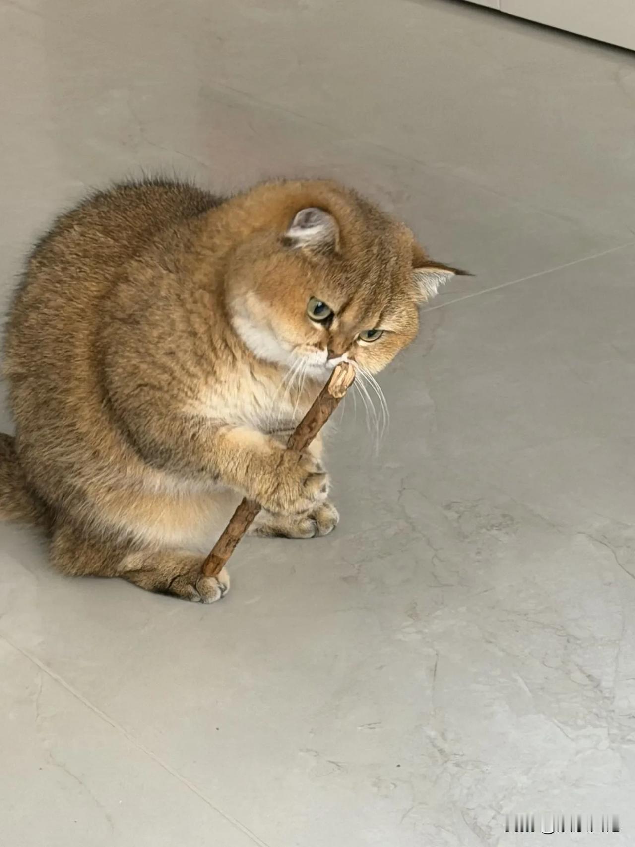 今天路过公园，
看见一个老大爷在喂鸽子。

他坐那慢慢撒玉米粒，
鸽子围了一圈，