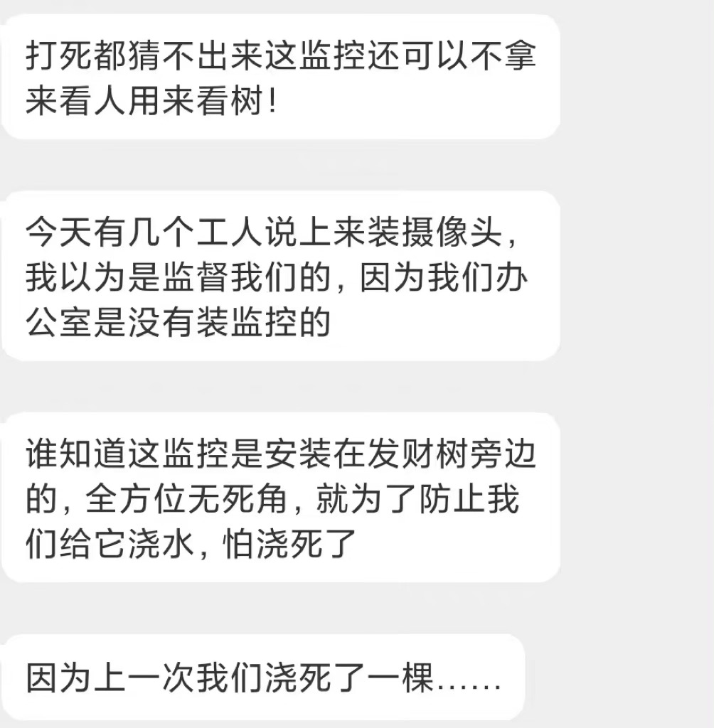 老板：摸鱼可以 浇死发财树不行✋ ​​​