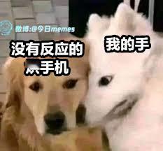 感知我！（9gag）今日meme[超话]今日memes ​​​