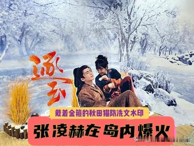 张凌赫人没到照样挤爆！《逐玉》台中快闪店人气太猛，岛内粉丝顶着高温也要去，彰显两