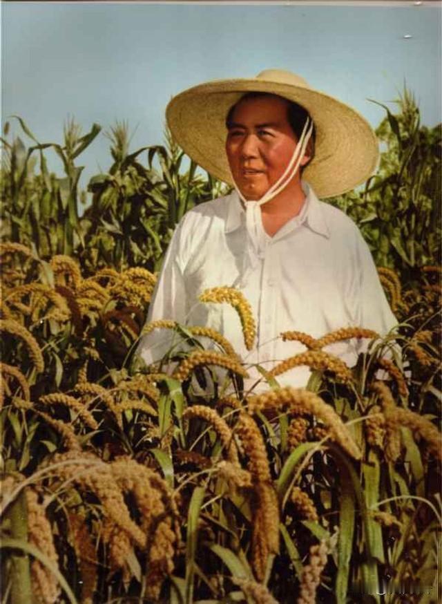 毛主席对文艺作品的较真，藏着对群众的理解。
1951 年，一部反映土改的话剧上演