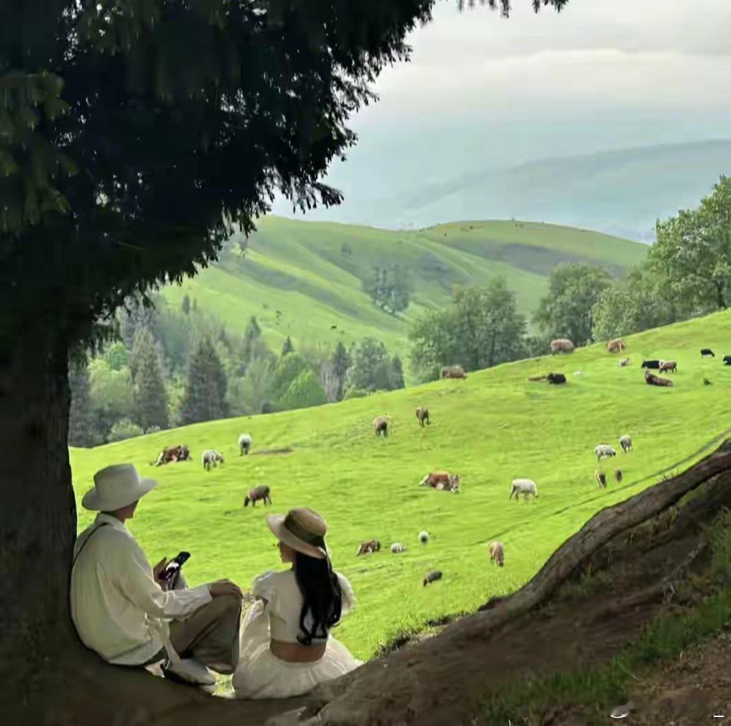 定格2026第一个瞬间 迎着晨光按下快门，定格2026第一个瞬间，珍藏新年第一张