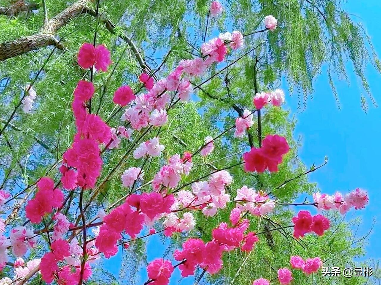 2021年8月，《中共中央、国务院关于实现巩固拓展脱贫攻坚成果同乡村振兴有效衔接