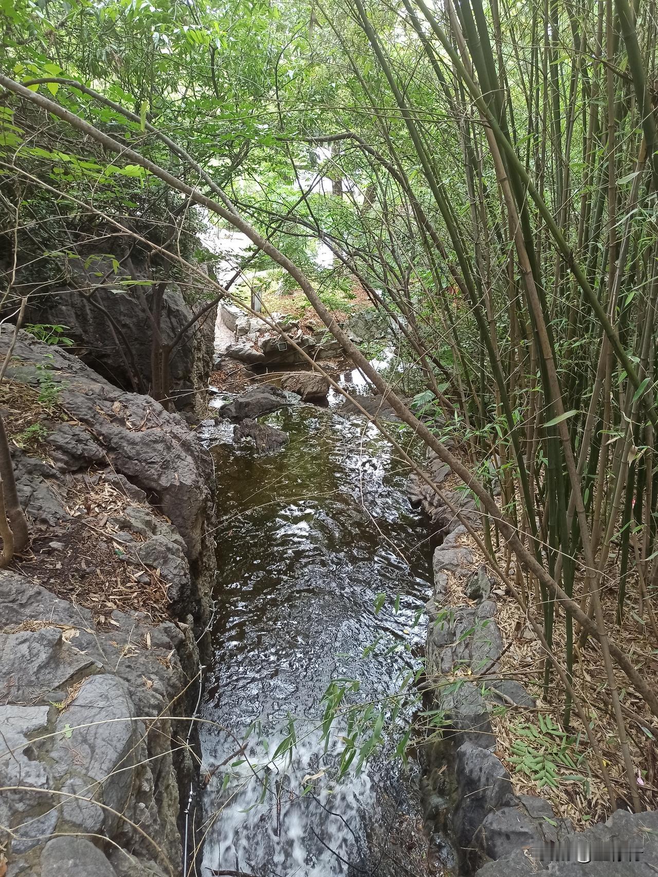 徐州云龙山北门旁的小瀑布又重新喷流了。云龙山北门旁是个水潭，石壁上有苏轼题写的“