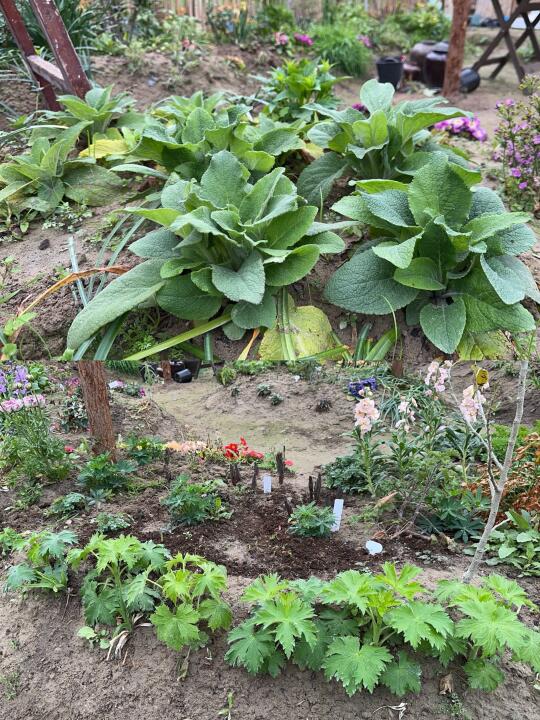 福建的植物旺盛生长中