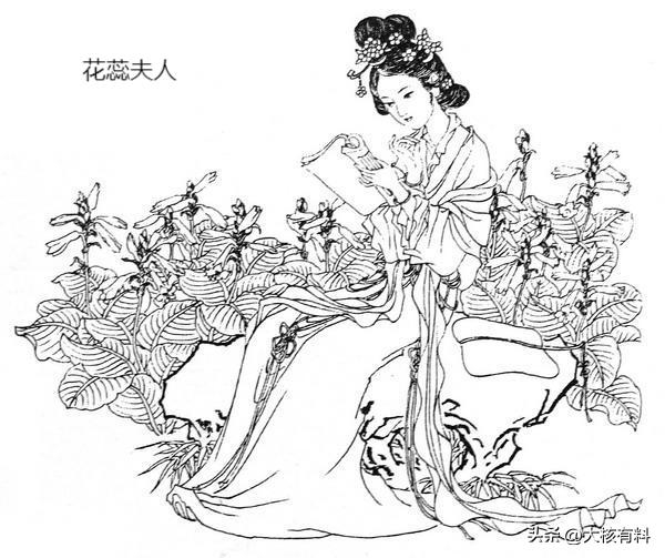 “君王城上竖降旗，妾在深宫那得知。十四万人齐解甲，更无一个是男儿。”这首诗出自花