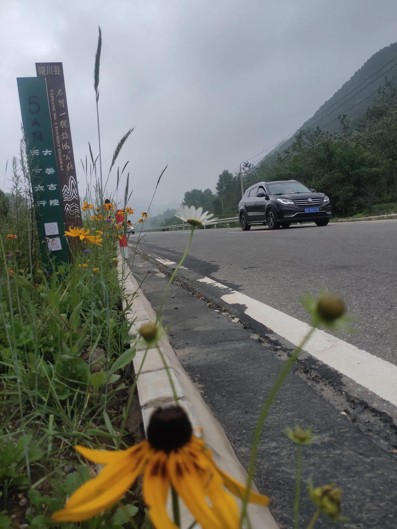 #对对联 飞花令#花嫣月媚韵无穷