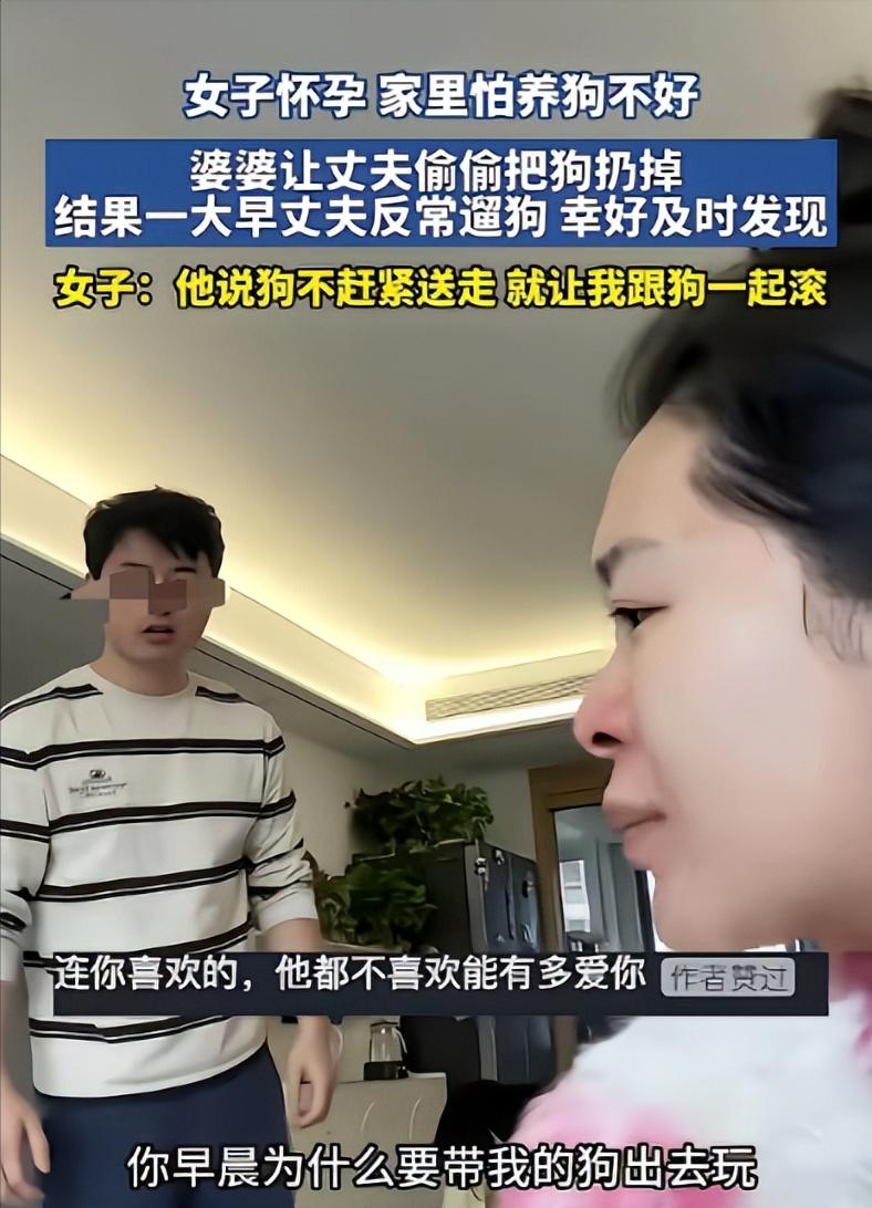 为了一条狗，两个人把日子过到了墙角，狗八岁，婚三年，孩子还没影，妻子把话撂得死死