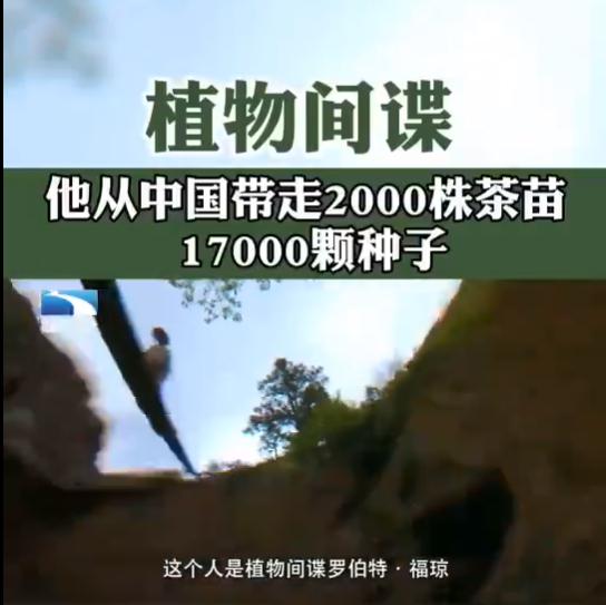最阴狠的无声掠夺！谁能想到，100多年前，英国人不靠炮火开战，不费一兵一卒，只凭