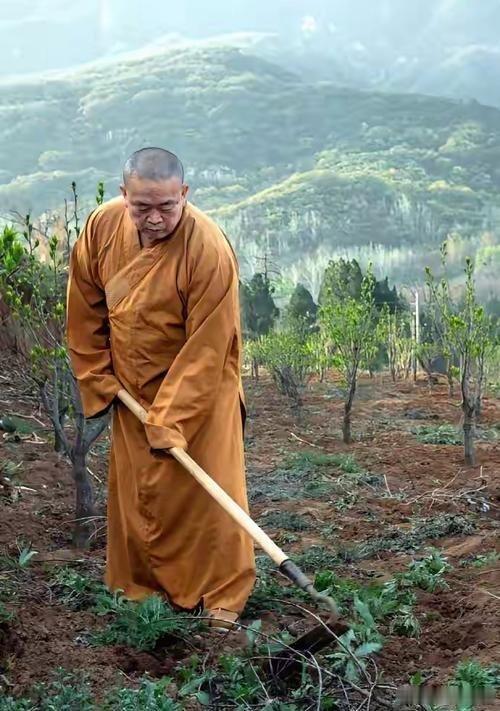 释永信被判24年 大和尚翻车就没有刨出点萝卜带泥的故事？没点儿相关八卦不太相信呐