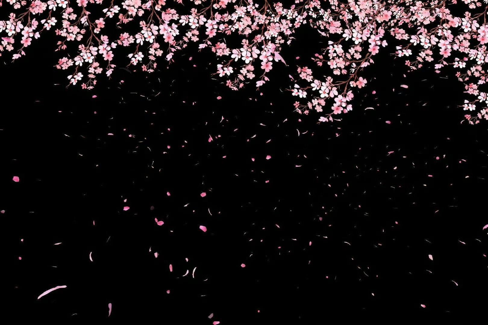 iPad 平板 电脑 壁纸 