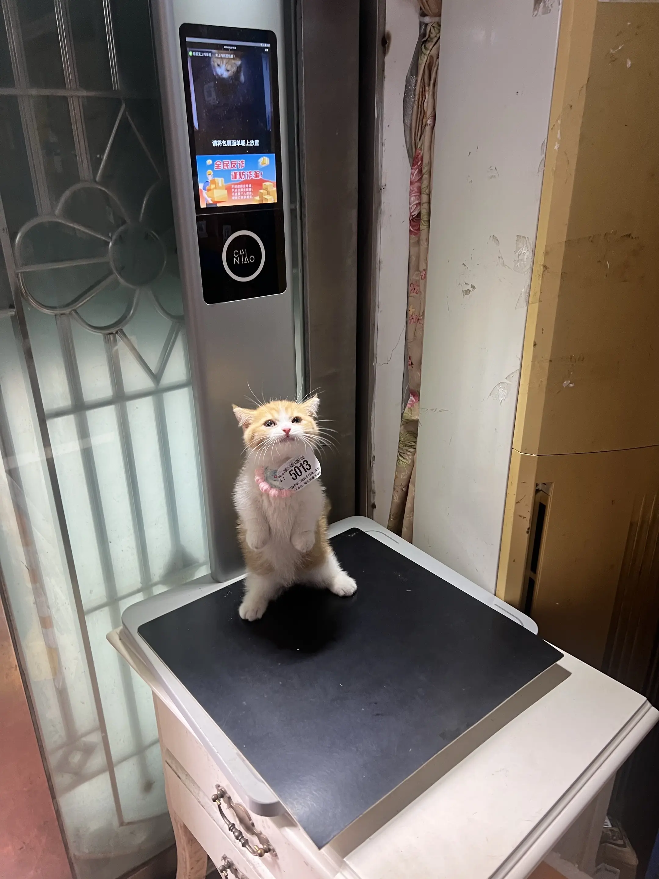 你的快递已出库……