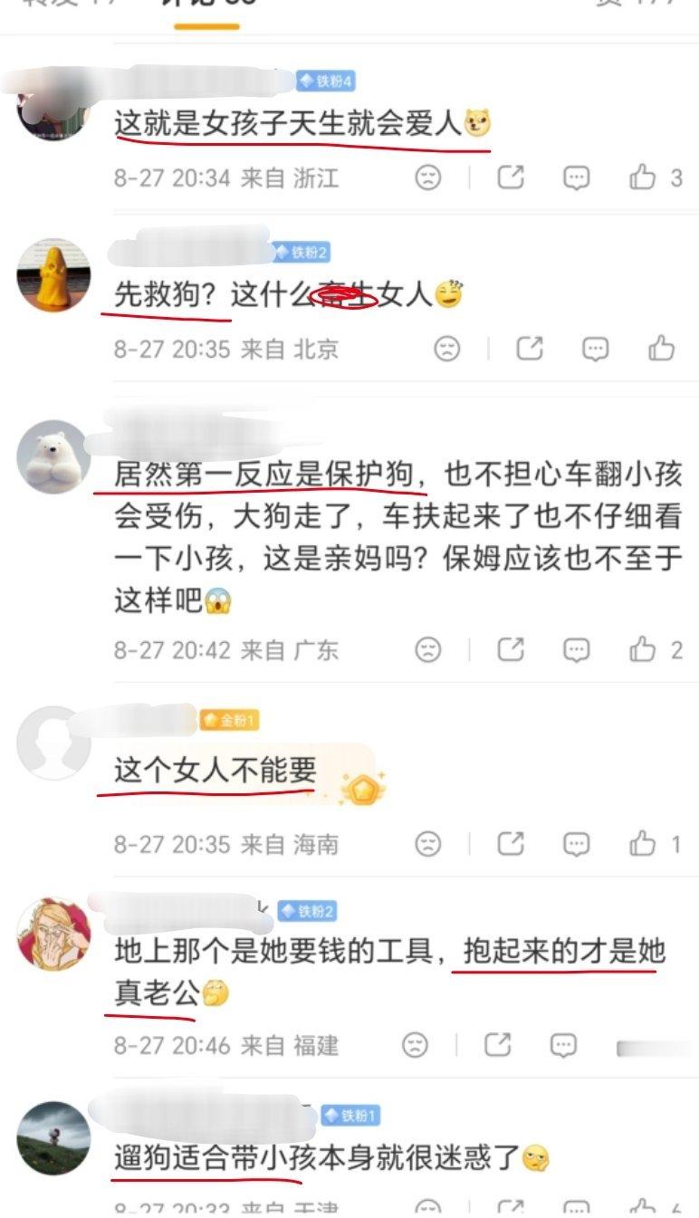 一位母亲推着婴儿车，牵着狗绳，结果被没牵绳的大型犬冲过来吓到，婴儿车都翻了，只能