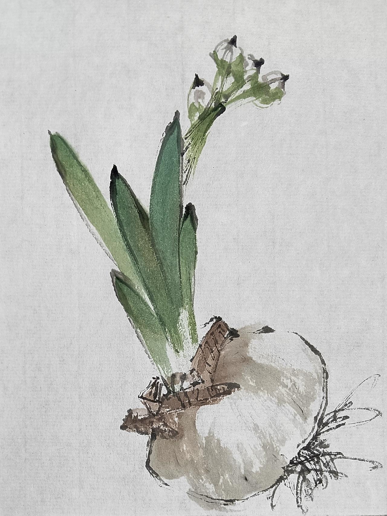 水仙花