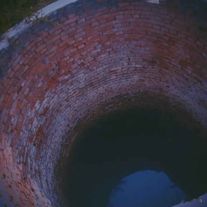 别急着笑那只井底的蛙，你也有你的井

我们总笑井底之蛙眼界小，可那方小小的井口，