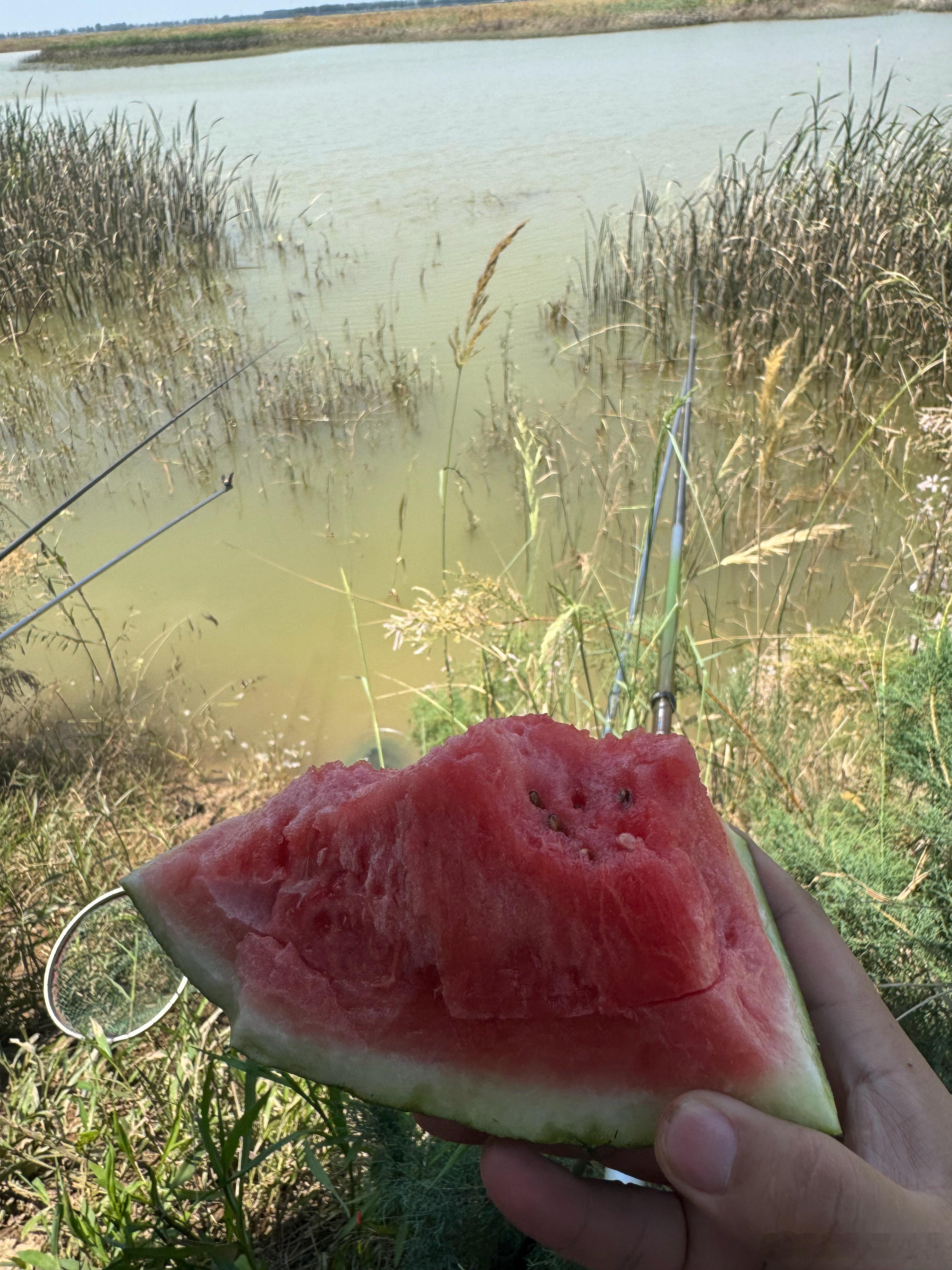 低头弯腰，只为爬得更高今天出门钓鱼，钓了一天的小鱼，全放了。给我快乐还他们自由。