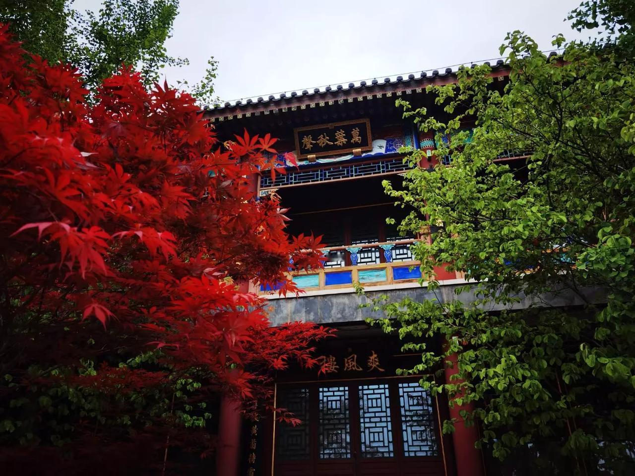 这道题太烧脑了！CPU都被干烧了！
张三去乘坐公交车，发现公交卡里没钱了，身上也