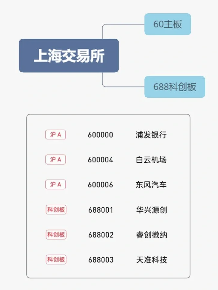 股票代码前面加的不同英文字母有什么含义？
