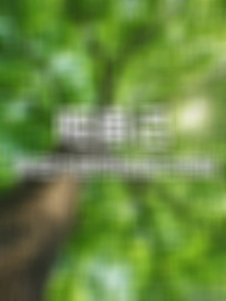 旺自己的一个方法：多去大自然有一句话我一直很喜欢：“少在人群里消耗，多到自然中滋