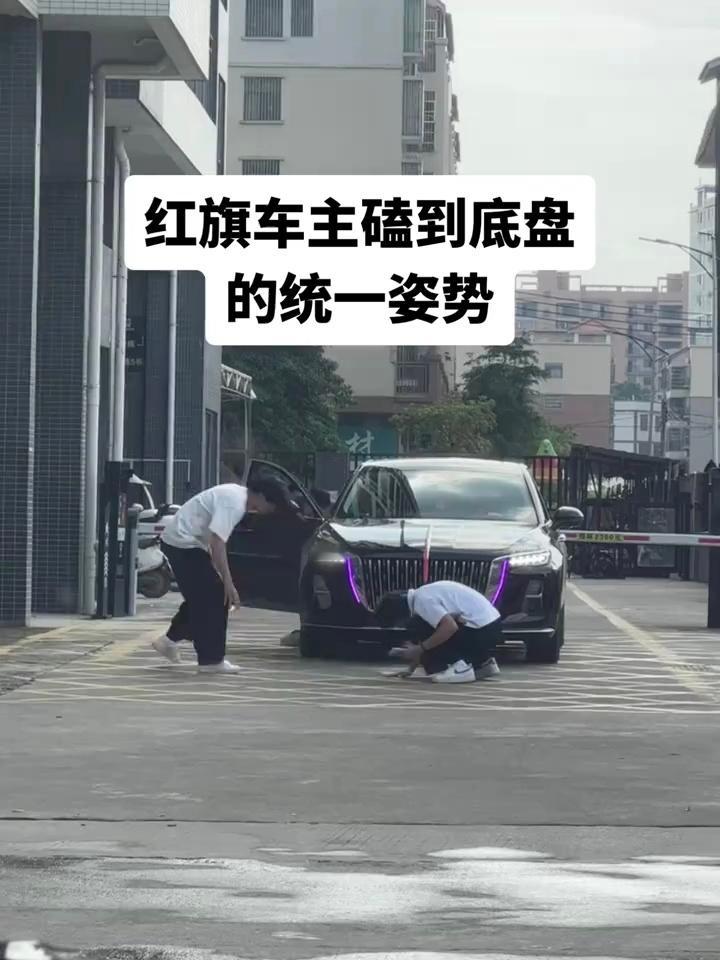 听说这是红旗车主看底盘的统一姿势生活手记 ​​​
