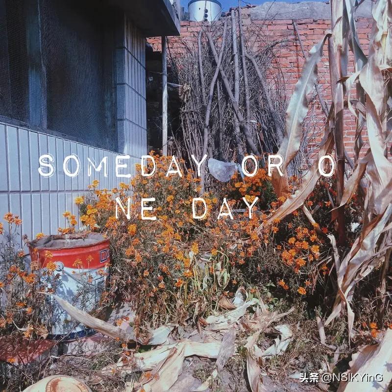 日子平淡，好在有光。渐渐温柔，克制，朴素，不问不怨，不记不记。