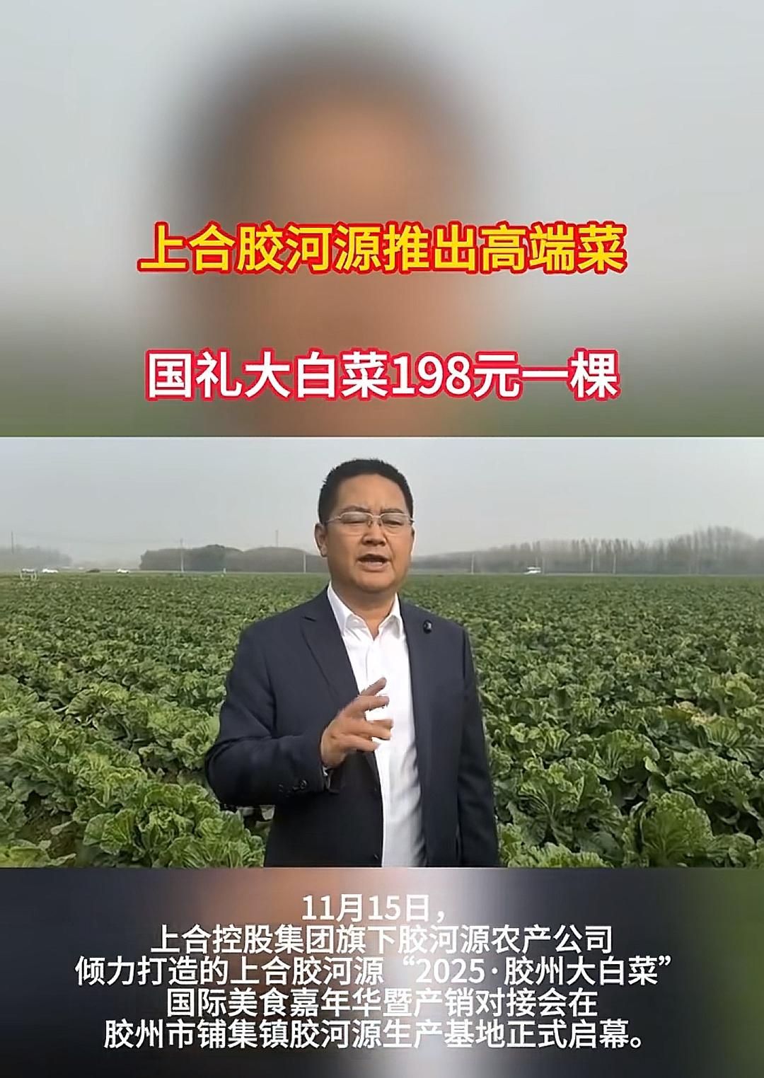 上合胶河源推出高端菜，国礼大白菜198元一棵＃优质农产品＃快来围观＃热点 ＃胶州