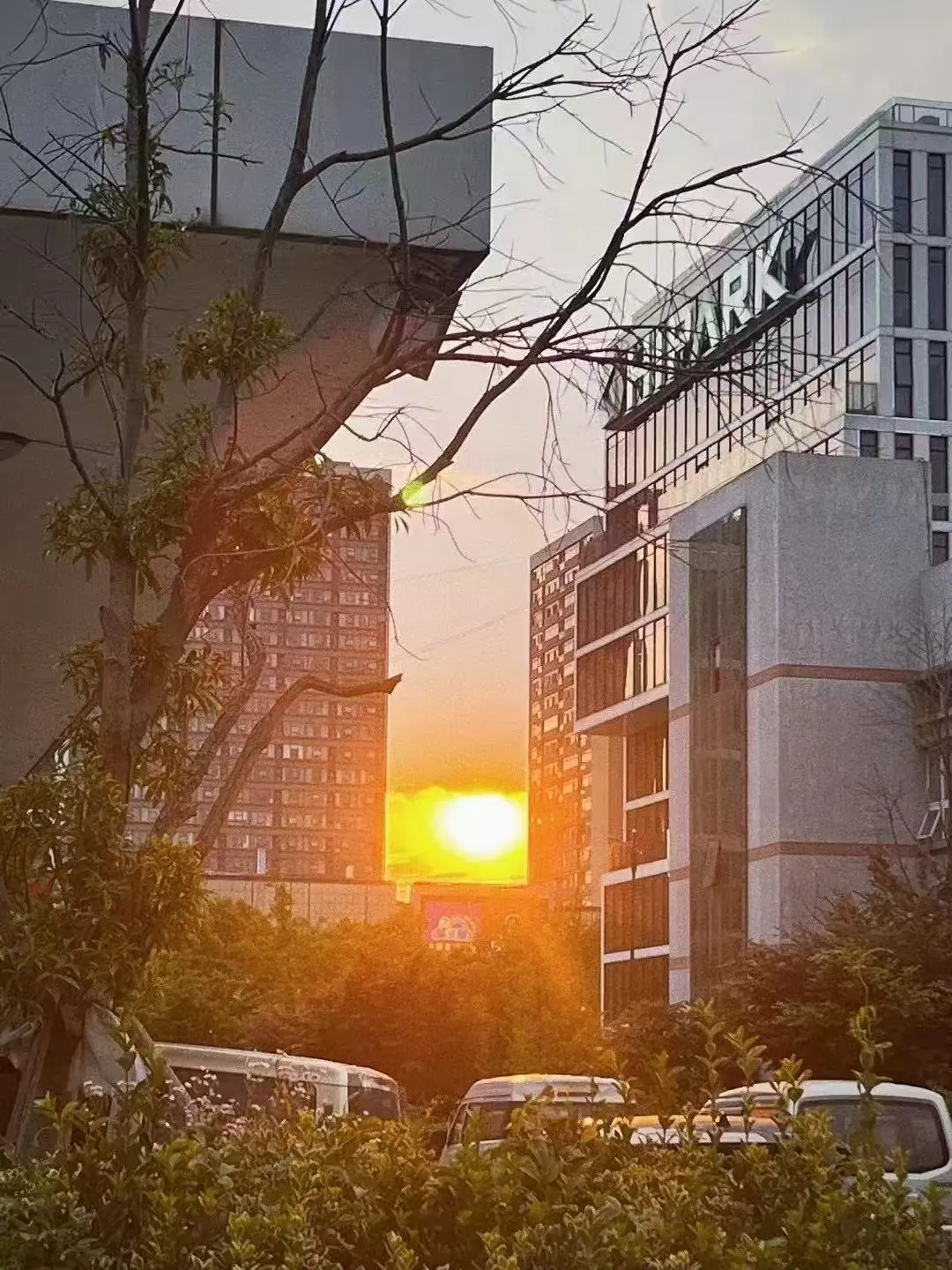 追光的日子真的很好看