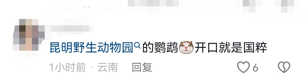 如果我有一只讲国粹的鹦鹉！