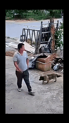 不知道谁家狗！追又追不上，打又打不着！自认倒霉！[大哭]