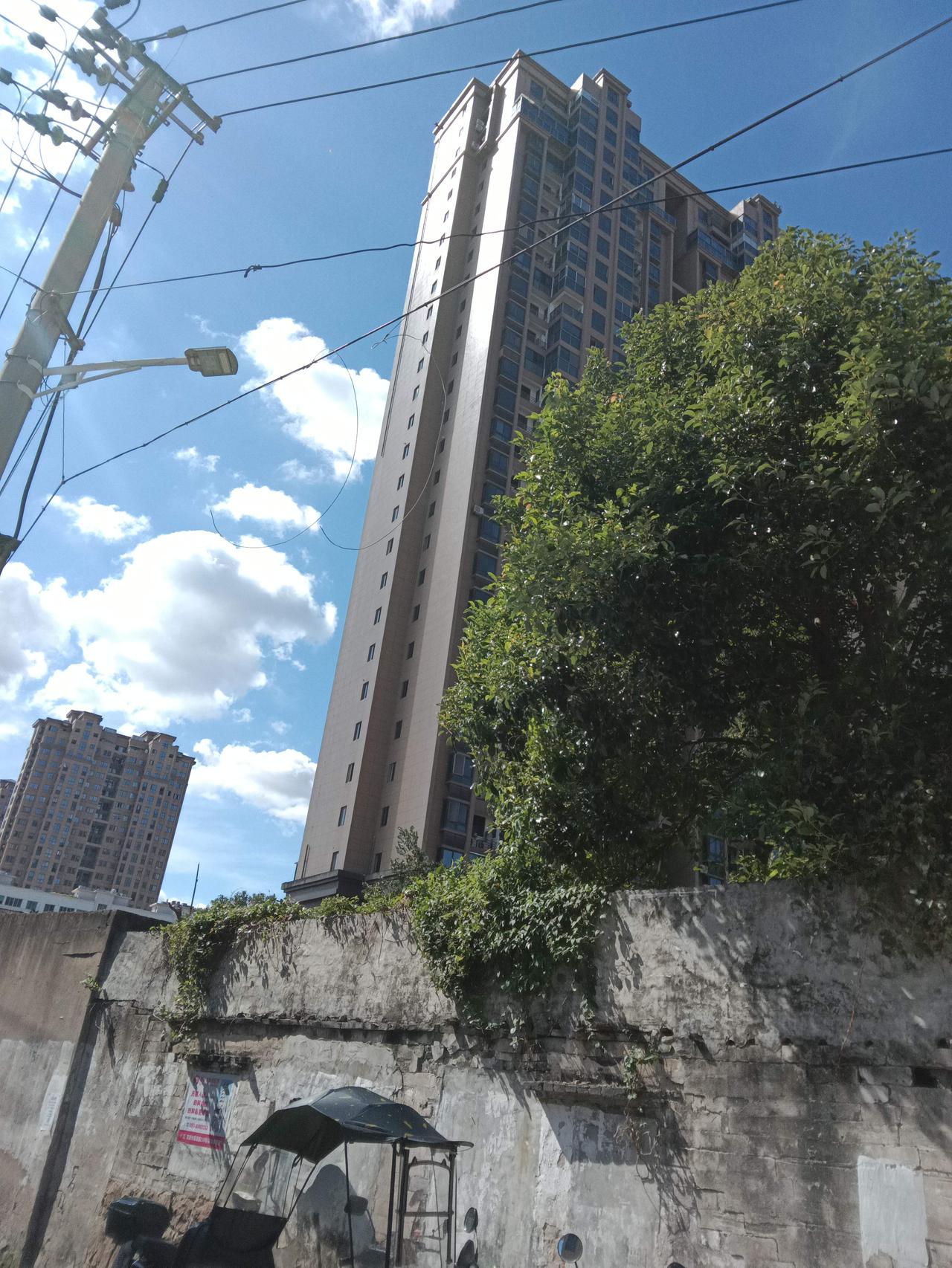 晒图笔记大赛 今天出门，一抬头就被天空美到了。那天空蓝得纯粹，没有一丝杂质，就像