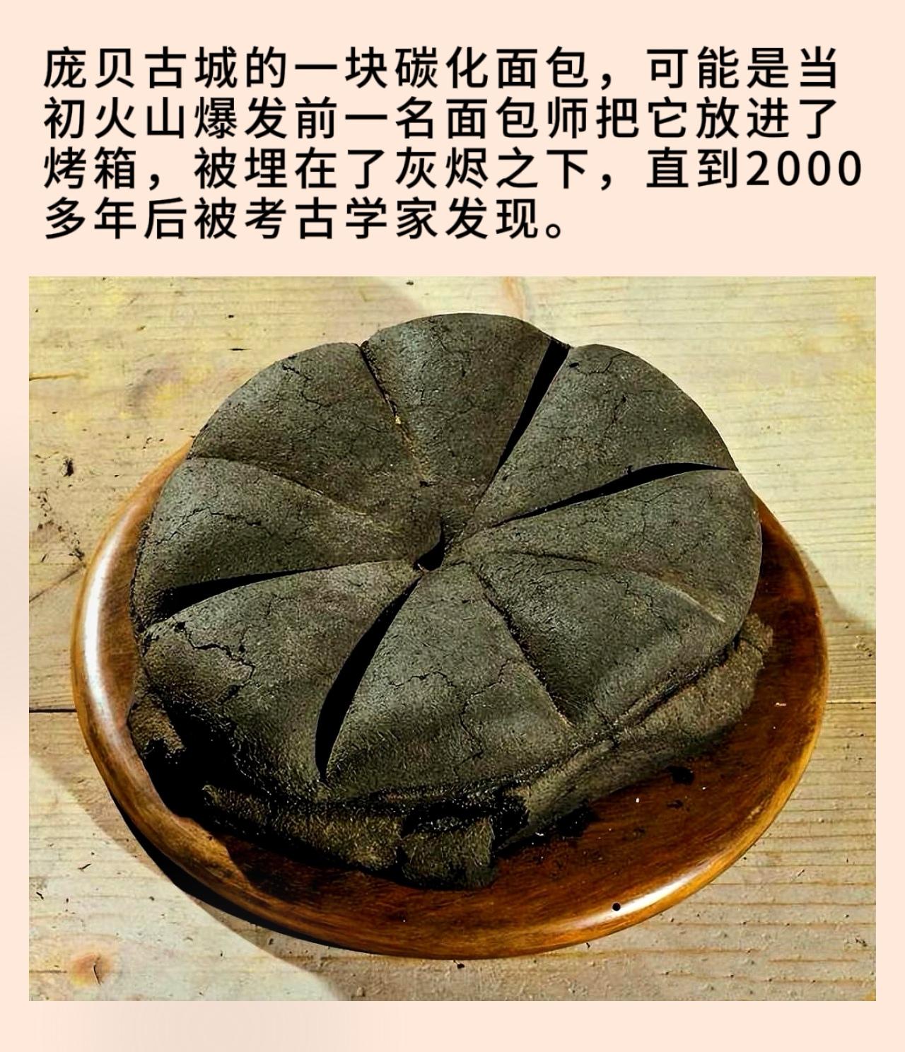 庞贝古城的一块碳化面包，可能是当初火山爆发前一名面包师把它放进了烤箱