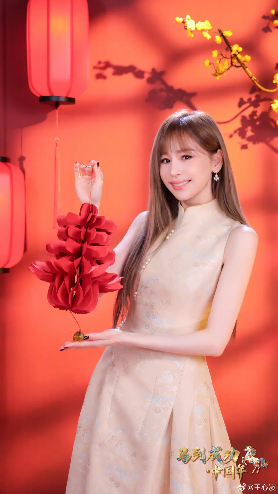 期待天后王心凌加盟央视小年夜。