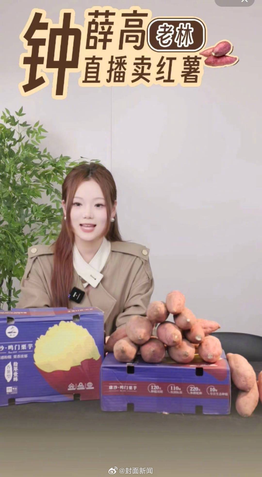 【#有被钟薛高欠薪员工打算放弃追讨#】#钟薛高仍在发布招聘信息# 5月28日，钟