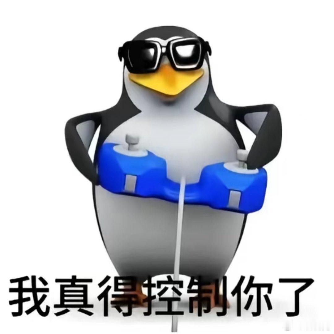 今天我想看见动的婧祎