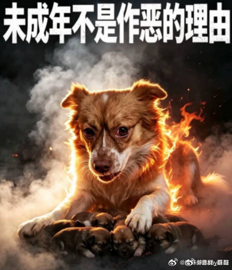 肆意虐杀动物的小孩儿，父母是什么样的价值观？养育者是如何教育的？他们又是什么样的