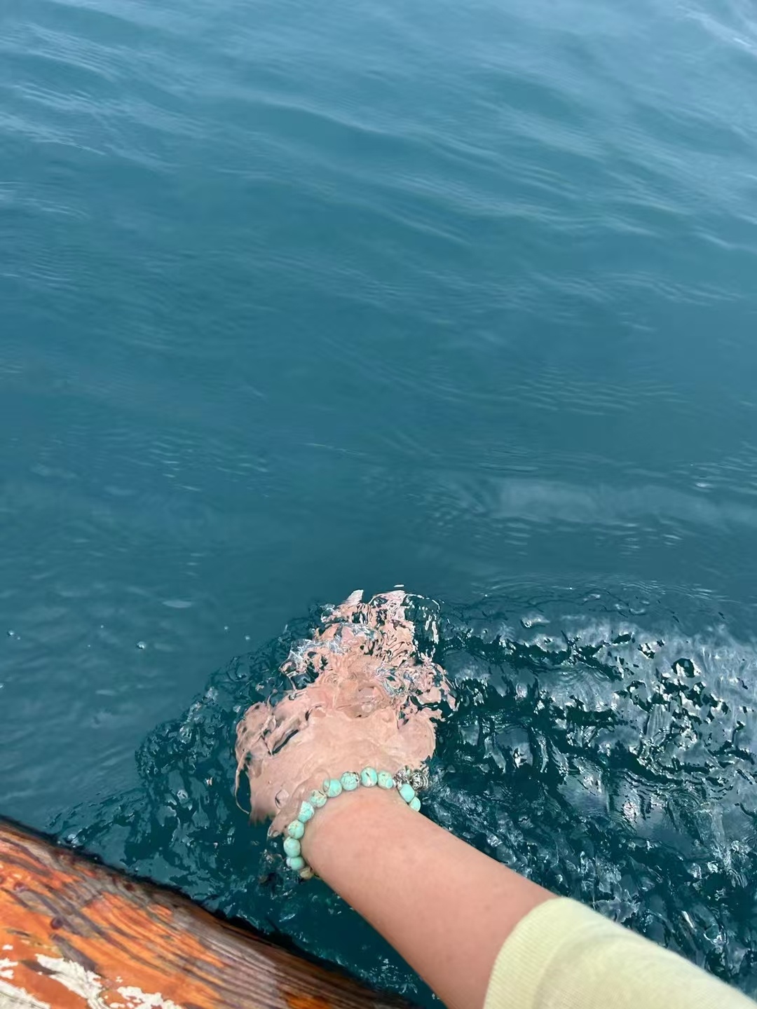 周末宅家沉浸式阅读 我的私人宝藏书单 书评   真心是培植爱的土壤，给不出真心的