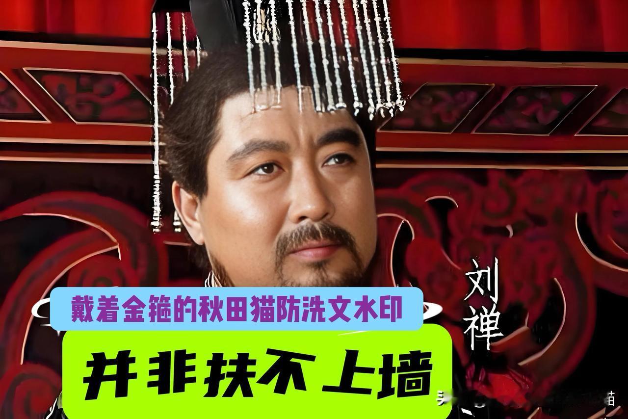 刘禅蒙受可谓“千古奇冤”：“扶不起的阿斗”被骂了上千年，可真实的刘禅可能和我们想