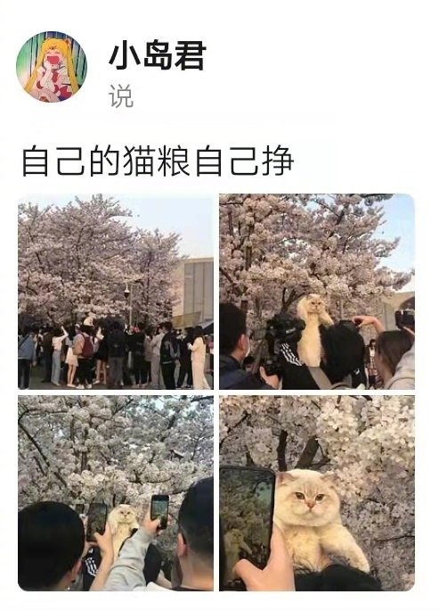 自己的猫粮自己挣哈哈哈哈！#搞笑# ​​​