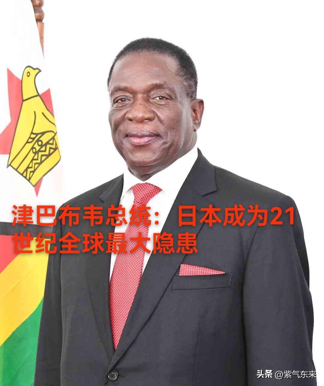 津巴布韦好样的，官媒刊文痛批日本军国主义毫无悔意！让我刮目相看！

近日津巴布韦