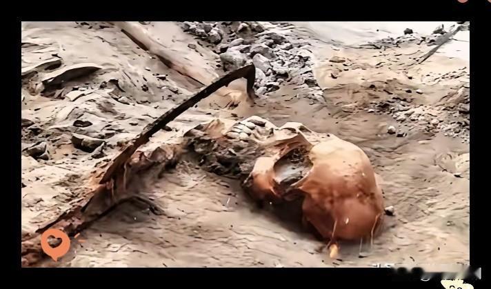 谁能想到河南舞钢的一片普通黄土下，藏着83年前的热血忠魂？1068具遗骸重见天日