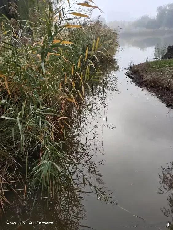 上联:水草丛生芦苇荡
下联:有请[握手][握手][送自己一朵花][送自己一朵花]